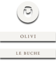 Cantine Olivi logo